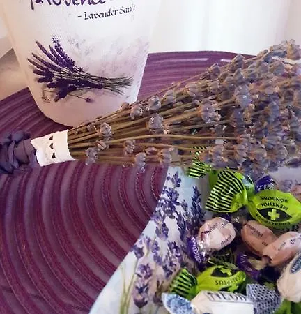 Kis Sziget Vendeghaz Nagyborzsony