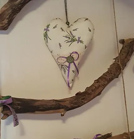 Apartment Kis Sziget Vendeghaz *