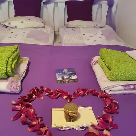 Kis Sziget Vendeghaz شقة