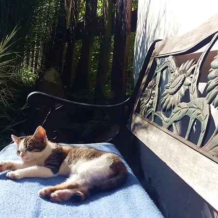 Apartment Kis Sziget Vendeghaz Nagyborzsony