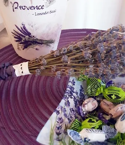 Kis Sziget Vendeghaz 너지뵈르죄니