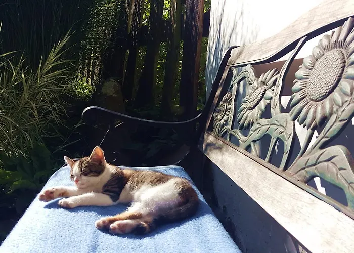 아파트 Kis Sziget Vendeghaz 너지뵈르죄니